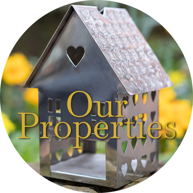 Our Properties